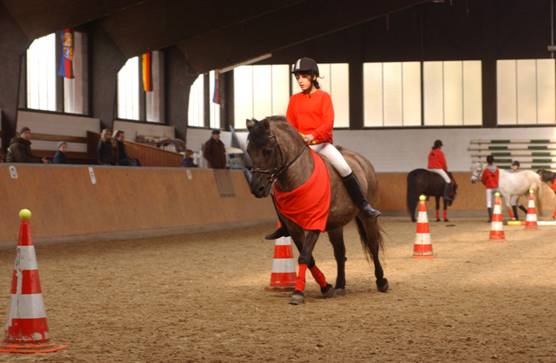 Ponyspiele%20085